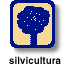 silvicultura